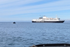 Nunavut, Pond Inlet - Zodiac back to Ocean Endeavour