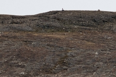 Nunavut, Devon Island - Lancaster Sound, Dundas Harbour