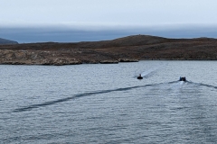 Nunavut, Devon Island - Lancaster Sound, Dundas  Harbour