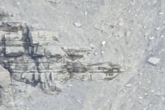 Nunavut, Lancaster Sound - Polar Bear