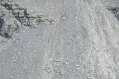 Nunavut, Lancaster Sound - Polar Bear