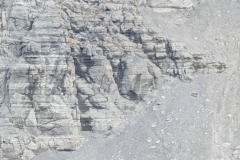 Nunavut, Lancaster Sound - Polar Bear