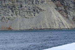 Nunavut, Lancaster Sound - Polar Bear