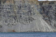 Nunavut, Lancaster Sound - Polar Bear