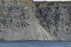 Nunavut, Lancaster Sound - Polar Bear