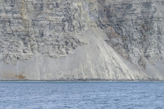 Nunavut, Lancaster Sound - Polar Bear
