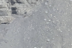 Nunavut, Lancaster Sound - Polar Bear