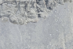 Nunavut, Lancaster Sound - Polar Bear