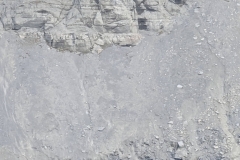 Nunavut, Lancaster Sound - Polar Bear