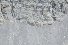 Nunavut, Lancaster Sound - Ship starts Engines & We Leave before we  stress out Polar Bear