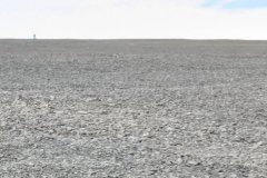 Nunavut, Beechey Island - Polar Bear Watch