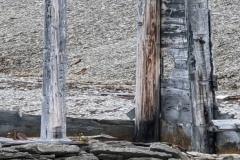 Nunavut, Beechey Island - Northumberland House