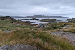 Greenland, Assaqutaq - Blue coat stuck in soggy area - Ocean Endeavour