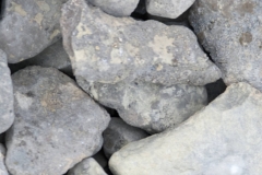 Nunavut, Beechey Island - Northumberland House - Lichen on rocks