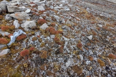 Nunavut, Port Leopold grounds