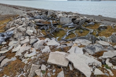 Nunavut, Port Leopold - Thule Home