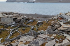 Nunavut, Port Leopold - Ruins of a Thule Home - Ocean Endeavour