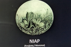 Adventure Canada talk by Staff Inuit Artist, Niap