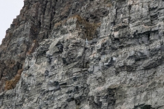 Nunavut, Port Leopold Island, Prince Regent Inlet - Migratory Bird Sanctuary - Vertical Cliffs 750’ (250m)