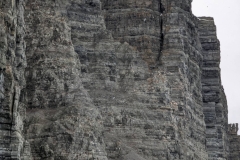 Nunavut, Port Leopold Island, Prince Regent  Inlet - Migratory Bird Sanctuary