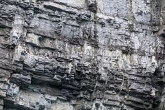 Nunavut, Port Leopold Island, Prince Regent Inlet - Migratory Bird Sanctuary