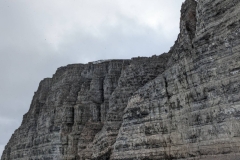 Nunavut, Port Leopold Island, Prince Regent Inlet - Migratory Bird Sanctuary - Long way for chicks to fall
