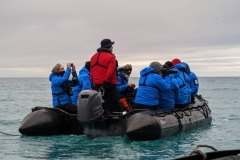 Nunavut,  Port Leopold Island, Prince Regent Inlet - Migratory Bird Sanctuary - Zodiac  bird  watchers