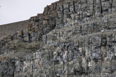 Nunavut, Port Leopold Island, Prince Regent Inlet - Migratory Bird Sanctuary - Nesting birdse Regent Inlet - Migratory Bird Sanctuary -  Nesting birds