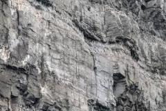 Nunavut, Port Leopold Island, Prince Regent Inlet - Migratory Bird Sanctuary - Many  places for nests