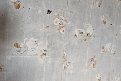 Nunavut, Somerset Island, Hudson Bay Co., Fort Ross - Manager’s House , wallpaper