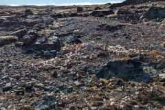 Nunavut, Somerset Island, Fort Ross - Area  once home to a number of Inuit  Families