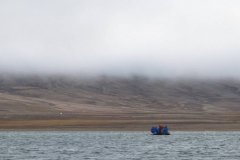 Nunavut, Conningham Inlet - Polar Bear sighting
