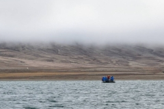 Nunavut, Conningham Inlet - Polar  Bear