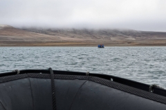Nunavut, Conningham Inlet - Polar Bear sighting