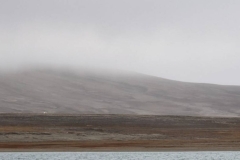 Nunavut, Conningham Inlet - Polar Bear