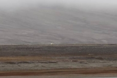 Nunavut, Conningham Inlet - Polar Inlets
